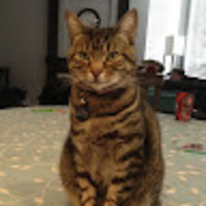 Meet your Posher, Heidi